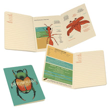 Load image into Gallery viewer, The Unemployed Philosopher&#39;s Guild Entomology A Naturalist’s Notebook
